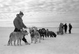 写真展「南極観測60年―定点観測者としての通信社」