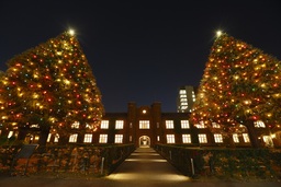 11月29日（火）立教大学池袋キャンパスでクリスマスツリー・イルミネーション点灯式を開催