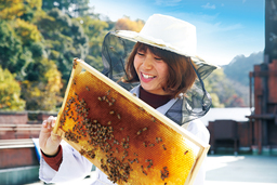 京都産業大学　学生養蜂チームのハチミツを商品化！！「はちみつドロップ ブラックカラント」発売