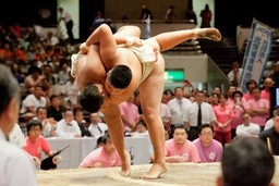 第二の稀勢の里を目指せ！！ 小学生の相撲大会「第33回わんぱく相撲全国大会」への取材依頼