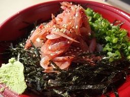 日本で唯一の桜えび漁が最盛期　甘くて食べごろ