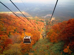 2016年那須の秋、紅葉狩り！ 季節運行バス『那須もみじ号』運行！