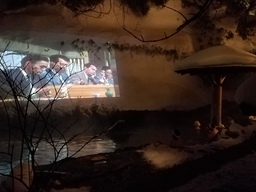 那須の冬の楽しみ！那須温泉映画祭2018