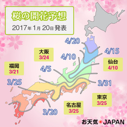 2017年の桜の開花・満開予想を発表「西日本で早め、東日本や北日本は平年並みと予想」