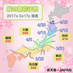 2017年の桜の開花・満開予想（確定版）を発表「連休明けに九州から”開花の便り”が始まると予想」