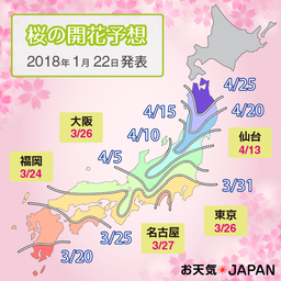 2018年の桜の開花・満開予想を発表