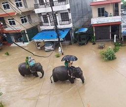 南アジア水害～バングラデシュ、ネパール、インド～「2017年南アジア水害救援金」の受け付けを開始しました