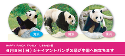 未来の繁殖への一歩 　6月5日(月) ジャイアントパンダ３頭が中国成都へと旅立ちます