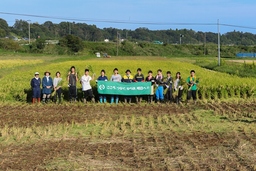 お米・営農再開2年目の福島・楢葉町で県外の学生が稲刈り