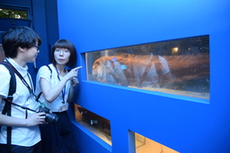 深海生物の聖地、沼津市戸田の「駿河湾深海生物館」、リニューアルオープンイベントを開催！