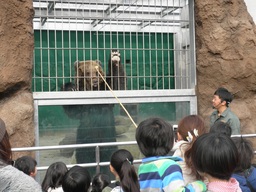 東武動物公園「トワイライトＺＯＯツアー」ご招待キャンペーンを実施！